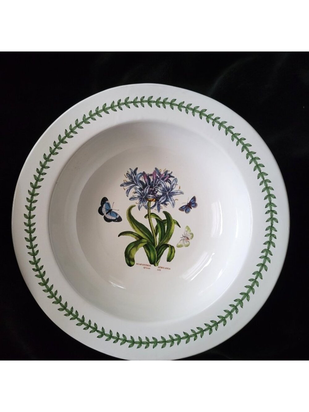 Portmeirion Botanic Garden African Lily XL Serving Bowl 15.375" Salad Bowl w/Rim